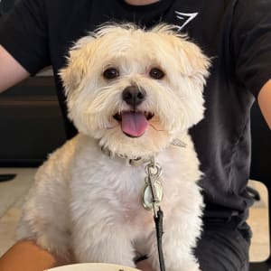 Picture of Arlo