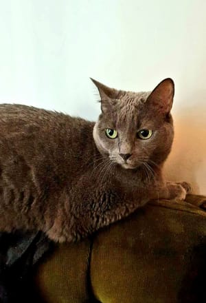 Picture of Squirt