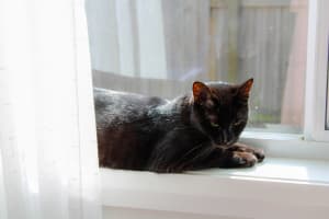 Picture of Lucy
