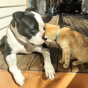 Picture of Michael Llewellyn