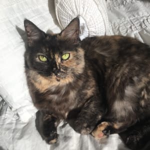 Picture of Emma
