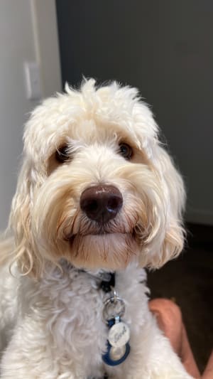 Picture of Errol