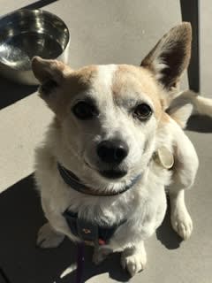 Picture of Lilly May