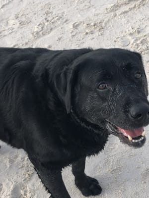 Picture of Jed