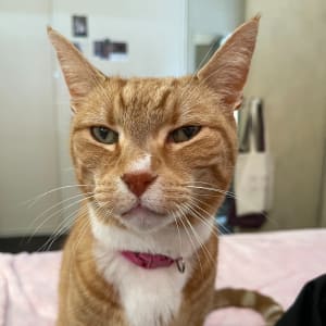 Picture of Megg
