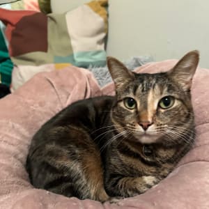 Picture of Marlee