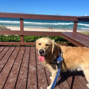 Picture of Winston