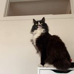 Picture of Eric