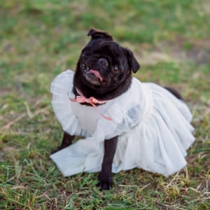 Picture of Riley