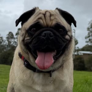Picture of Doug