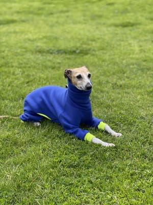 Picture of Jack
