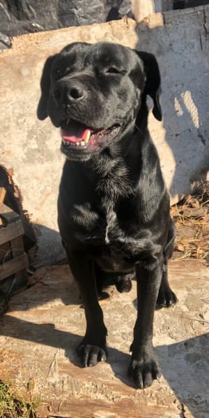 Picture of Logan 