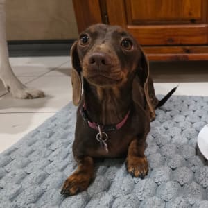 Picture of Ellie