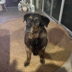 Picture of Xena