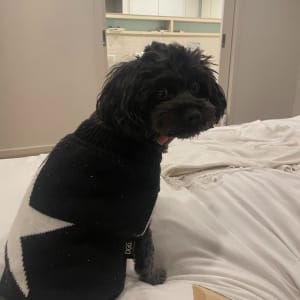 Picture of Salty Solomons