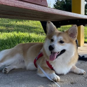 Picture of Ricky