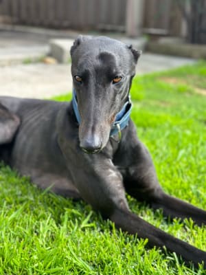 Picture of Mr Norman