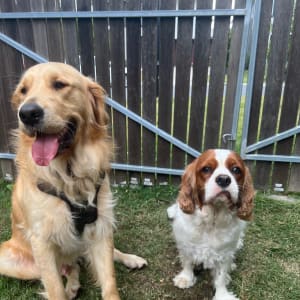 Picture of Hank and Cocoa