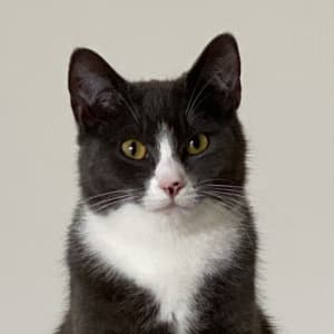 Picture of Mini
