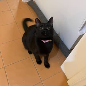 Picture of Wednesday