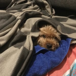 Picture of Billy