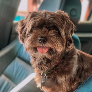 Picture of Mr Treysen James