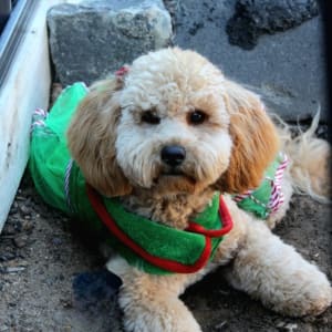 Picture of Betty