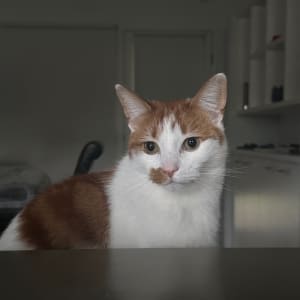 Picture of Timmy