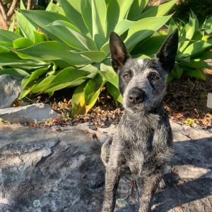 Picture of Marceline