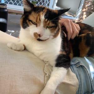 Picture of Lucy
