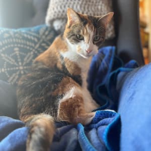 Picture of Lily