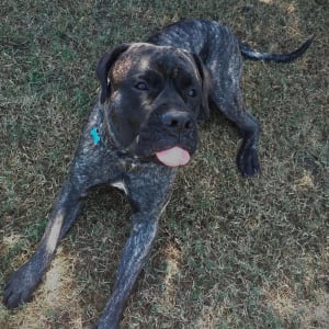 Picture of George