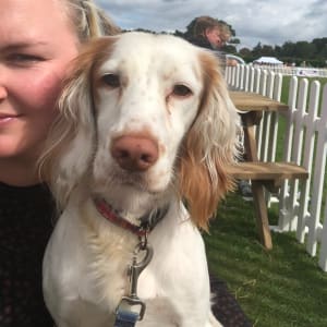 Picture of Skye