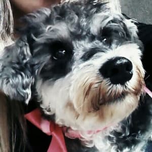 Picture of Marie