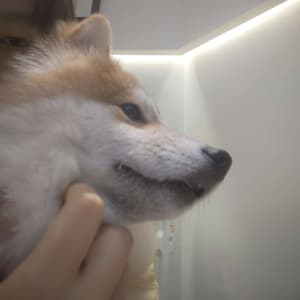 Picture of Fantuan