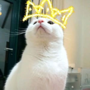 Picture of Yitiao