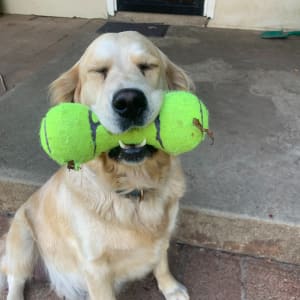 Picture of Winter Bentley