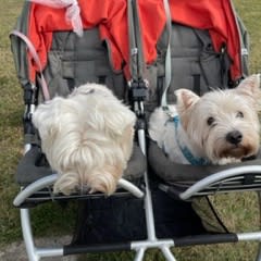 Picture of Betty