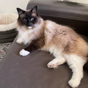 Picture of Elizabeth