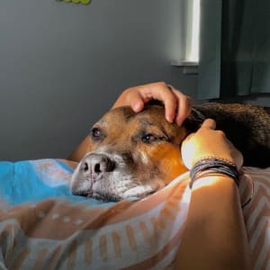 Picture of Ruffy