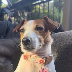 Picture of Kira