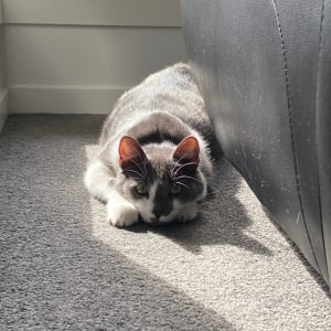 Picture of Timmy
