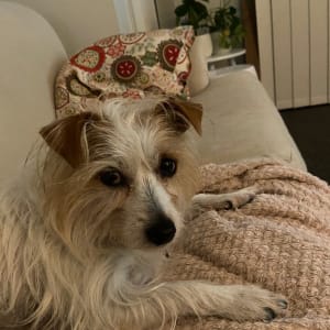 Picture of Coco Chanel