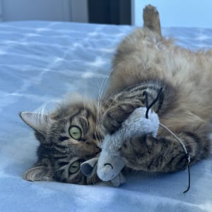 Picture of Margot