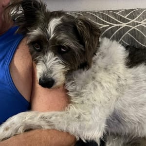 Picture of Margie
