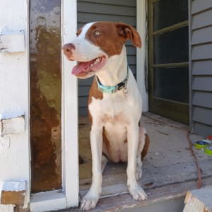 Picture of Fíneamhain