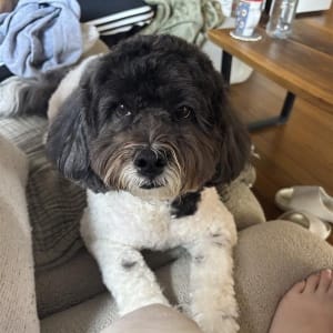 Picture of Andy