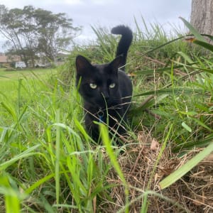 Picture of Colin