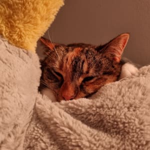 Picture of Mimi