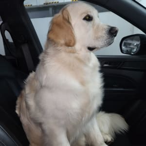Picture of Ted